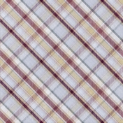 Apricity Plaid Papers 12