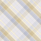 Apricity Plaid Paper 9