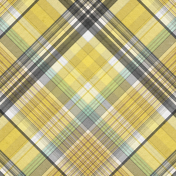 Naturally Curious Plaid Paper 02