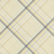 Naturally Curious Plaid Paper 03