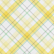 Naturally Curious Plaid Paper 05