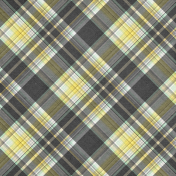 Naturally Curious Plaid Paper 10