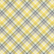 Naturally Curious Plaid Paper 12