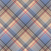 True Friend Plaid Paper 7