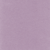 True Friend Lavender Solid Paper