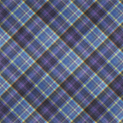 Backyard Summer Plaid Paper 08