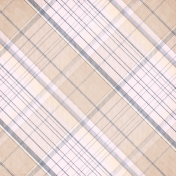 Shabby Chic Plaid Paper 04