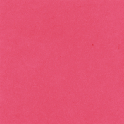 Backyard Summer Solid Paper Pink