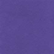 Backyard Summer Solid Paper Purple 2