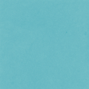 Backyard Summer Solid Paper Teal