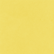 Backyard Summer Solid Paper Yellow