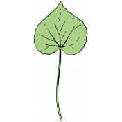 Botanical Sketches No. 1- Leaf 02