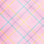 Sparkle and Shine Plaid Paper 10