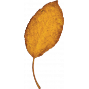 Fall Reflections Gold Leaf
