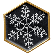 Winter Cozy Element Black Snowflake Brad