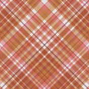 An Autumn To Behold Plaid Paper 06