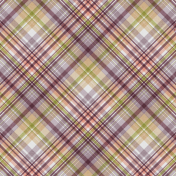 A Spring To Behold Plaid Paper 09