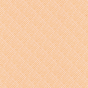 Rainy Days Orange Glen Plaid Paper