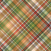 Green Acres Plaid Paper 11