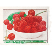 Summer Medley Element Raspberries Ephemera