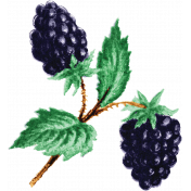 Summer Medley Element Vintage Blackberries