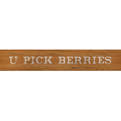 Summer Medley Element Word Art Wood U Pick Berries