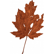 Frosty Fall Leaf