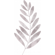 Cranberry Gray Leaf Branch