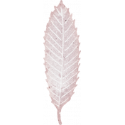 Cranberry Gray Leaf 2