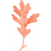 Cranberry Peach Leaf