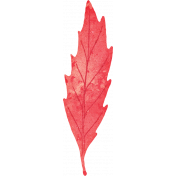 Cranberry Red Leaf 1