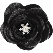 Homestead Life: Winter Black Flower
