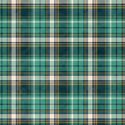 Extra Paper Large Plaid 04