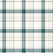 Extra Paper Large Plaid 06