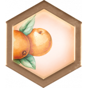 Orange Blossom Oranges Hexagon Brad 