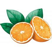 Orange Blossom Oranges Sticker