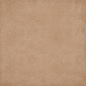 Orange Blossom Beige Solid Paper