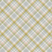 Perfect Pair Plaid Paper 10