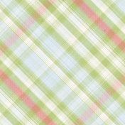 Spring Fresh Plaid Paper 12