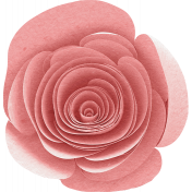 Spring Fresh Rolled Pink Flower