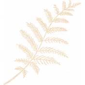 Spring Fresh Cream Fern Foliage