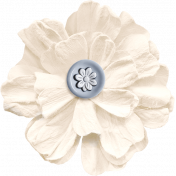 Buttermilk Element White Flower