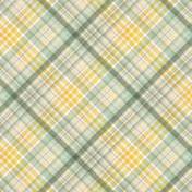 Afternoon Daffodil Plaid Paper 08