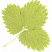 Old Fashioned Summer leaf