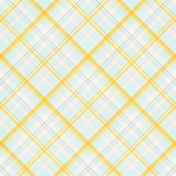 Old Fashioned Summer Plaid Paper 03