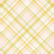 Old Fashioned Summer Plaid Paper 05