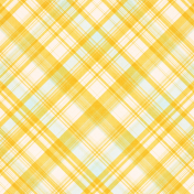 Old Fashioned Summer Plaid Paper 07