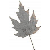 Provincial Seascape leaf gray