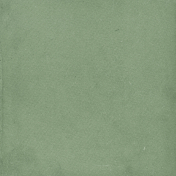 Wildwood Thicket Solid Green Paper