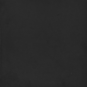 Wildwood Thicket Solid Black Paper